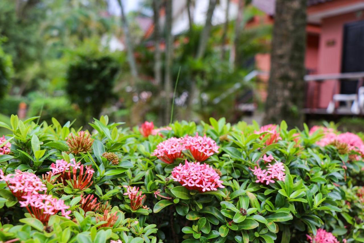 בנג טאו ביץ' Andaman Seaside Resort Bangtao Beach מראה חיצוני תמונה